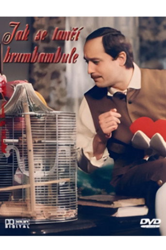 Jak se tančí brumbambule movie poster