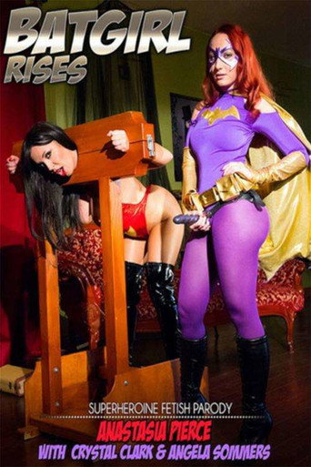 Batgirl Rises movie poster
