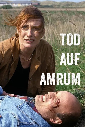 Tod auf Amrum movie poster