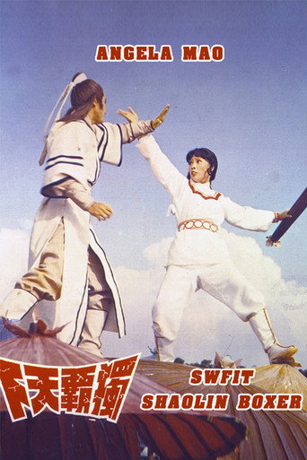 Swift Shaolin Boxer movie poster