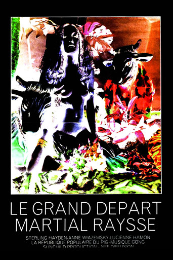 The Big Departure movie poster