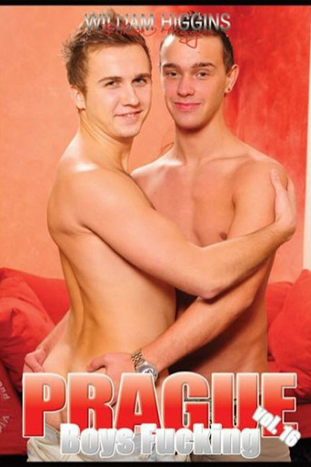 Prague Boys Fucking 16 movie poster