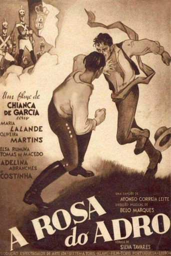 A Rosa do Adro movie poster
