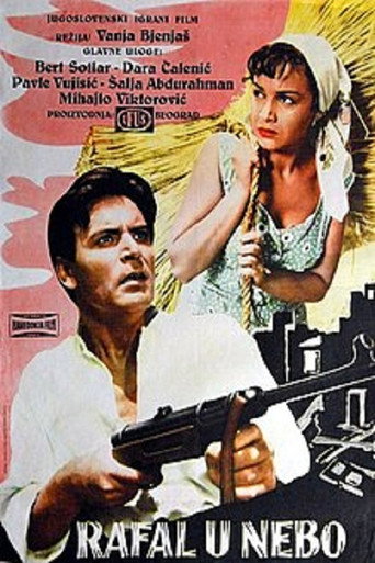 Shots in the Sky movie poster