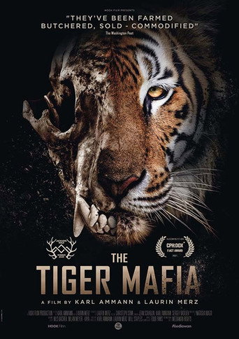 The Tiger Mafia movie poster