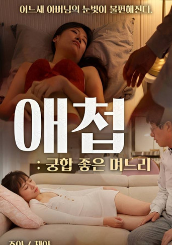 Concubine: Daughter-in-law With Good Compatibility movie poster