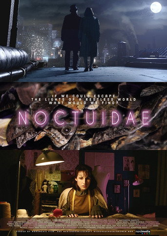Noctuidae movie poster