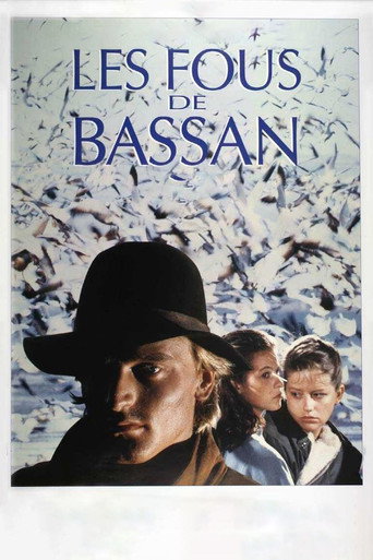 In the Shadow of the Wind movie poster