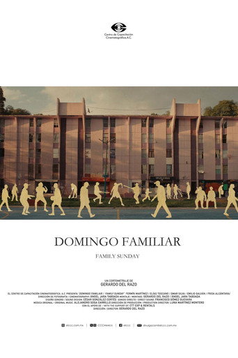 Family Sunday movie poster