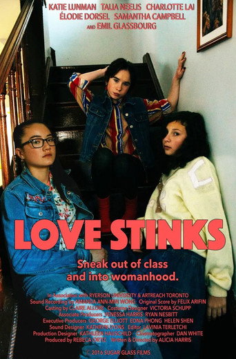 Love Stinks movie poster