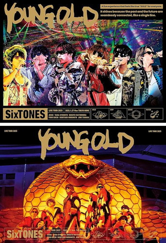 YOUNG OLD movie poster