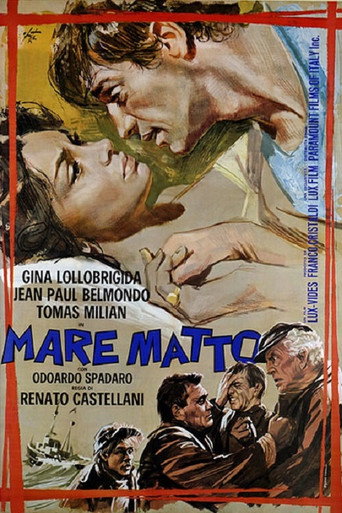 Crazy Sea movie poster