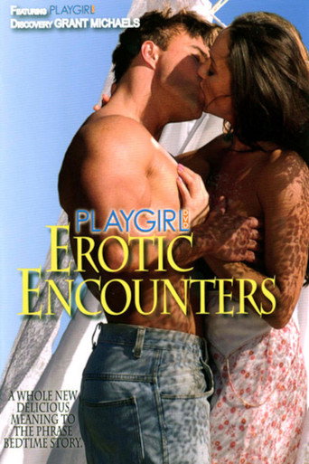 Playgirl: Erotic Encounters movie poster