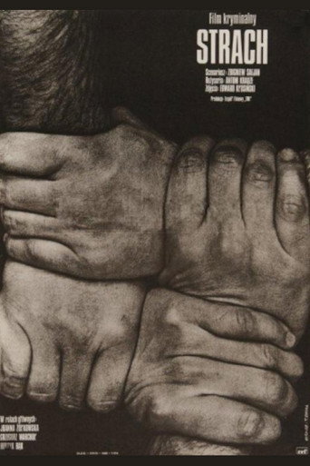 Strach movie poster