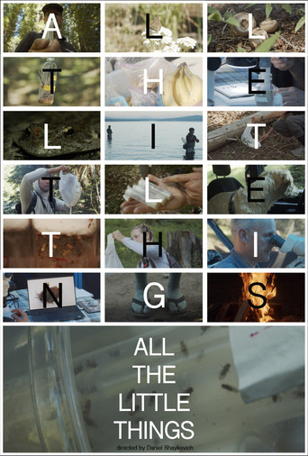 All the Little Things movie poster