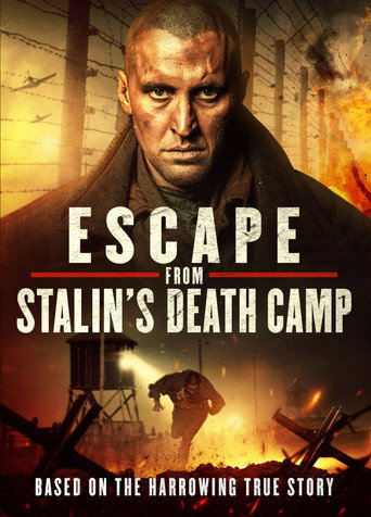 Chervonyi movie poster