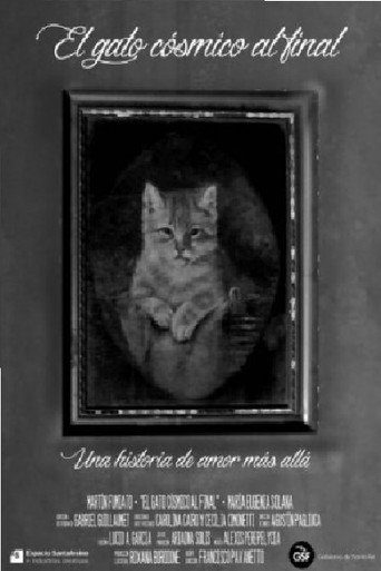 El gato cósmico al final movie poster