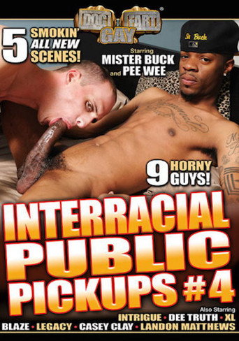 Interracial Public Pickups 4 movie poster