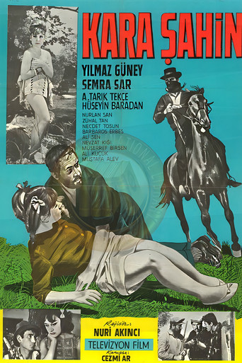 Kara Şahin movie poster