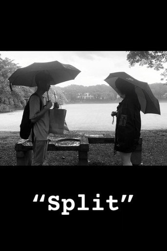 Split movie poster