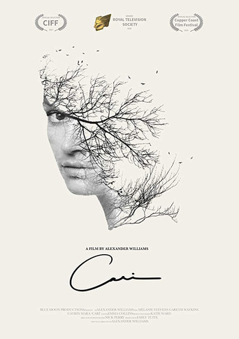 Cari movie poster