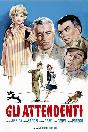 The Orderly movie poster