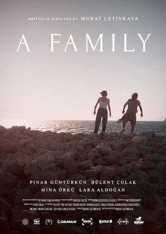 A Family movie poster