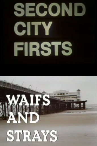 Waifs and Strays movie poster