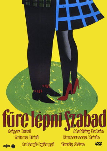 Don't Keep Off the Grass movie poster