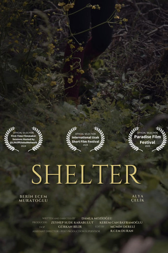Shelter movie poster