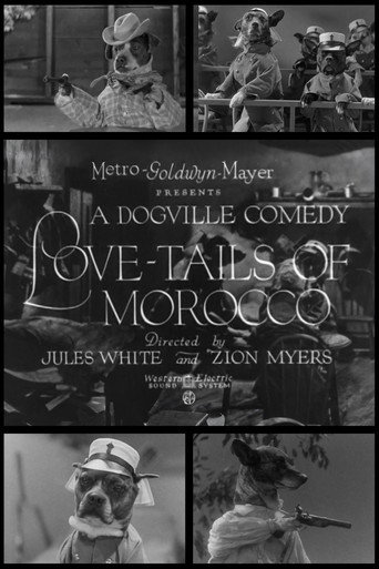 Love-Tails of Morocco movie poster