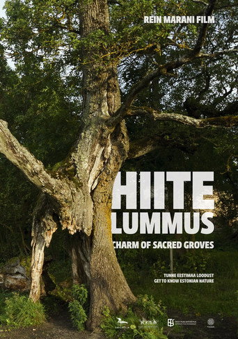 Charm of Sacred Groves movie poster