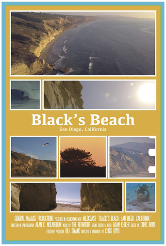 Black's Beach: San Diego CA movie poster