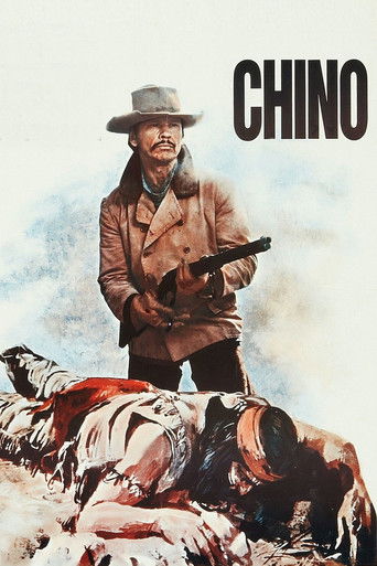 The Valdez Horses movie poster