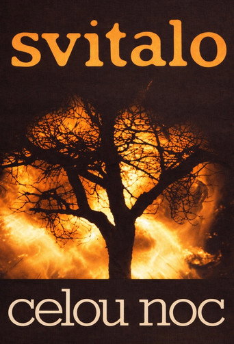 Svítalo celou noc movie poster
