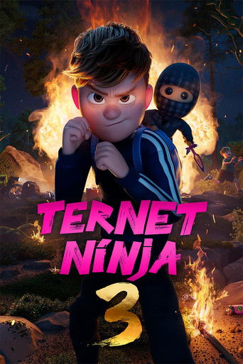 Checkered Ninja 3 movie poster