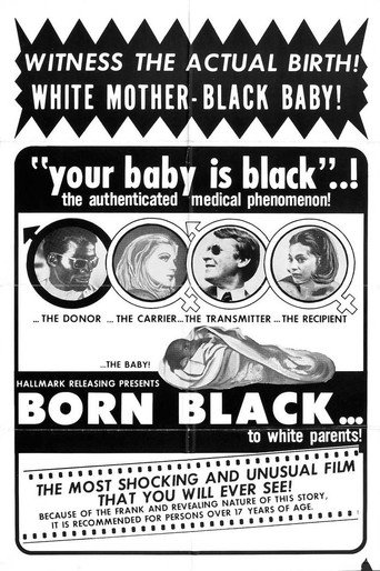 Born Black movie poster