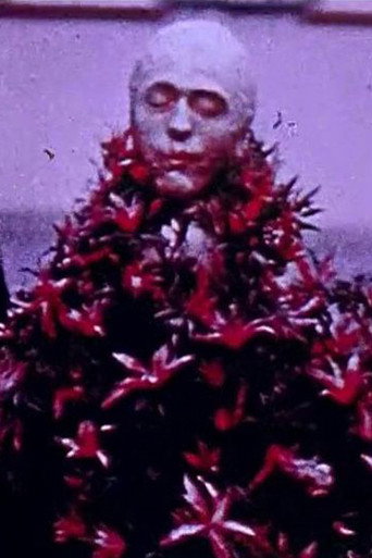Images du carnaval de Bâle movie poster