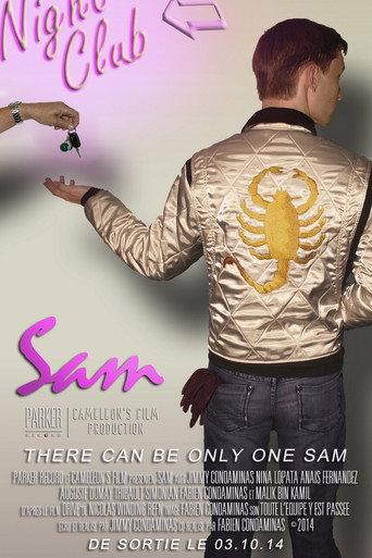 Sam : Drive Parody movie poster