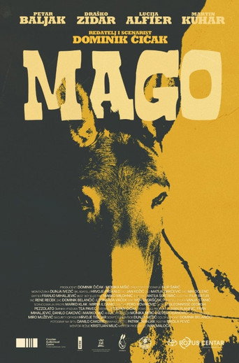 Mago movie poster