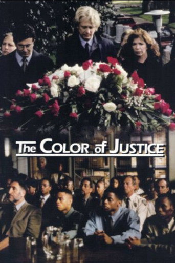 Color of Justice movie poster