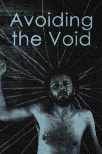 Avoiding the Void movie poster