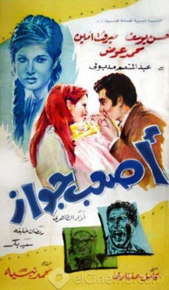 The hardest marriage movie poster