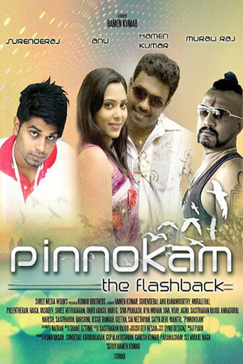 Pinnokam movie poster