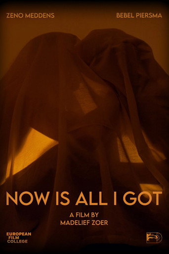 Now Is All I Got movie poster