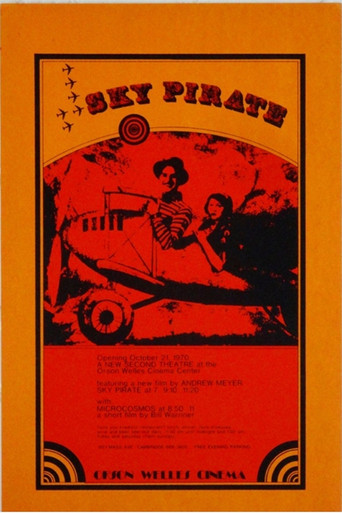 The Sky Pirate movie poster