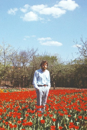Tulip Field movie poster