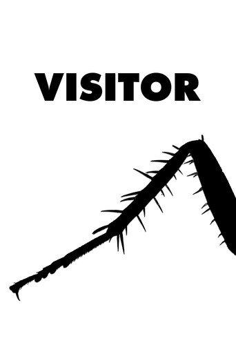 Visitor movie poster