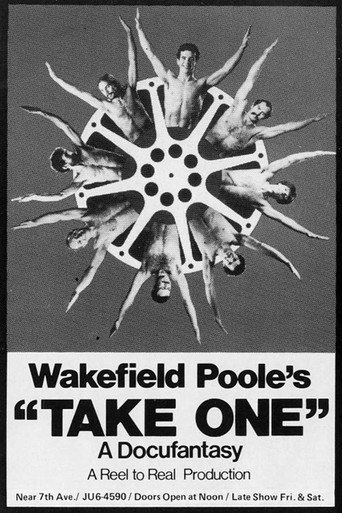 Take One movie poster