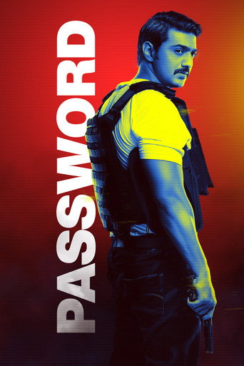 Password movie poster